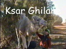 Oase Ksar Ghilane in der Sandwüste Grand Erg Oriental