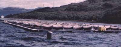 Lachsfarm von der Isle of Skye