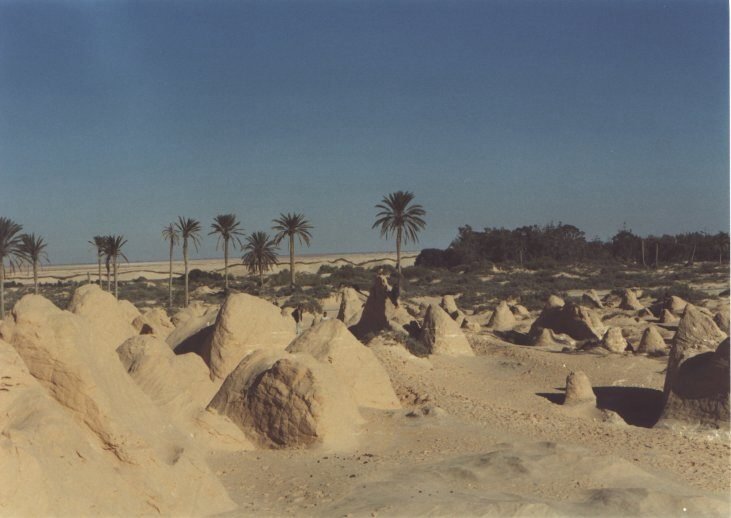 Sanddünen durch Erosion bei Bechri