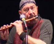 Ian Anderson: Calliandra Shade