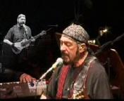 Ian Anderson (Jethro Tull): Up the Pool