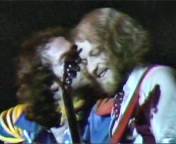 Jethro Tull: Crazed Institution