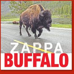 Frank Zappa 1980: Buffalo