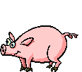 The Pig of Blodwyn Pig